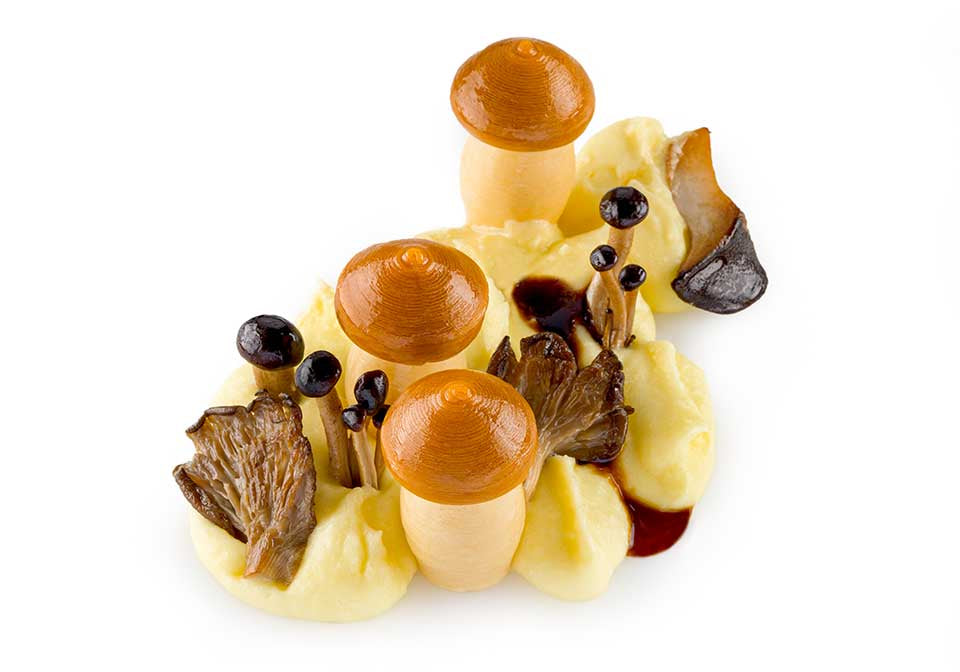 Mushroom con funghi