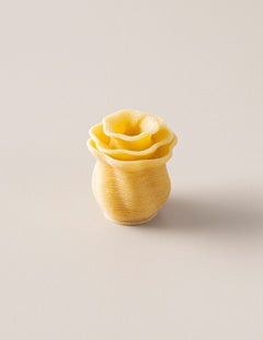 Pasta 3D Bloom