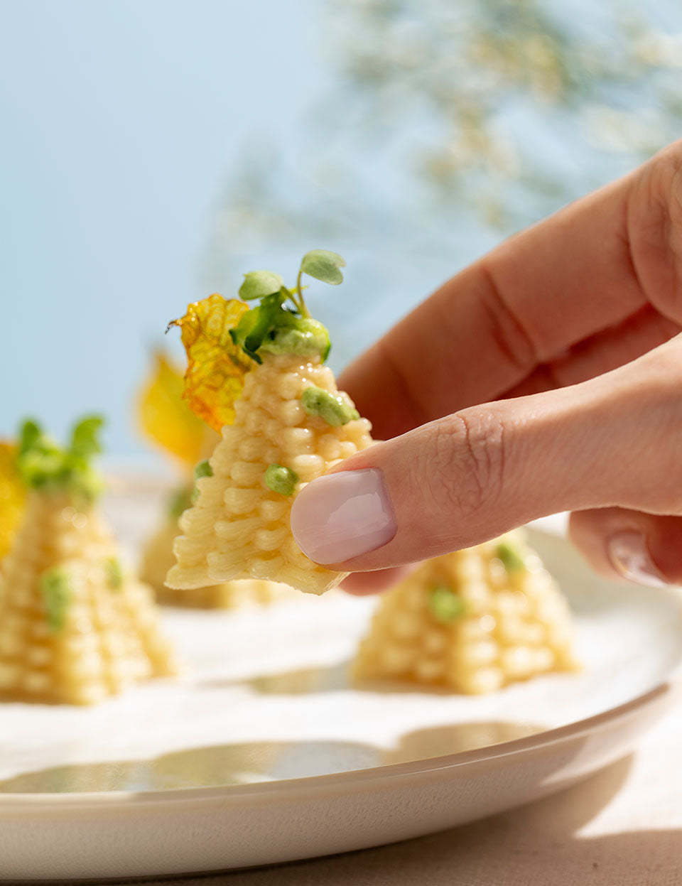 Vortipa pasta 3D